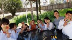 Evrensel Kolej